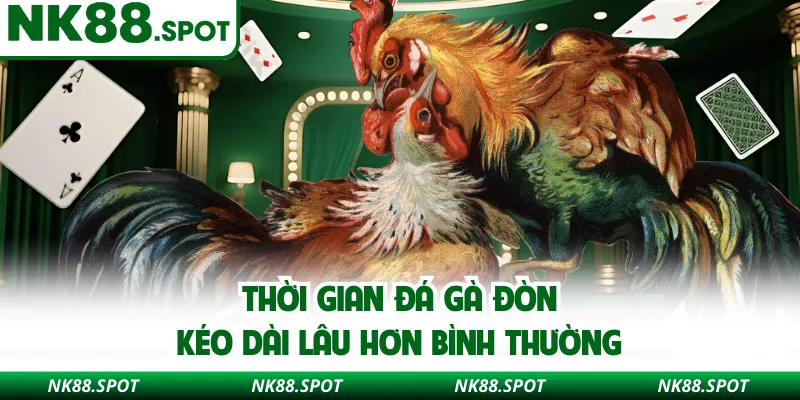 Thời gian đá gà đòn kéo dài lâu hơn bình thường